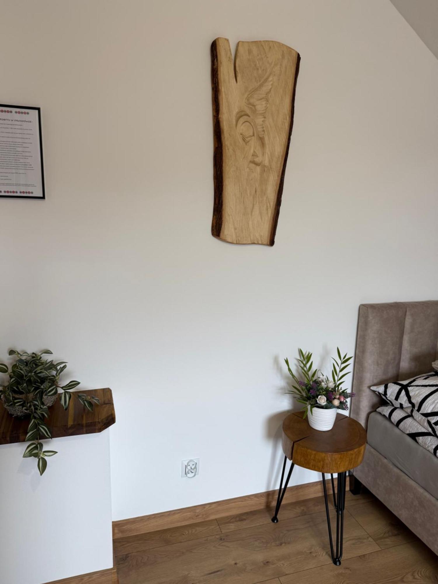 Apartament Z Tarasem I Pokoje Klimatyzowane -Drozdowka Solina Солина Экстерьер фото